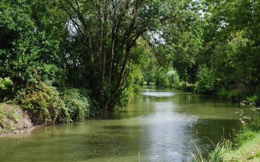 La Poussardiere Saint-Martin-sous-Mouzeuil Buitenkant foto